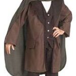 Lord of the Rings: Frodo