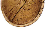 Spartan Shield