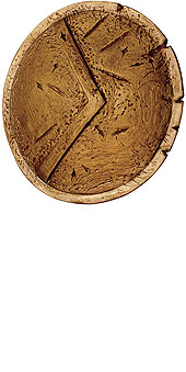 Spartan Shield