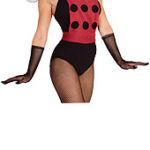 Ladybug Accessory Kit