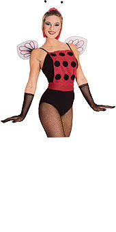 Ladybug Accessory Kit