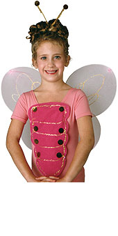 Butterfly Kid Accessory Kit