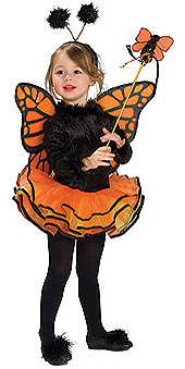 Butterfly Deluxe Orange