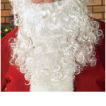 Santa Wig & Beard Economy Set