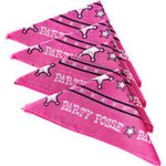 Bachelorette Party Posse 4 Neckerchief