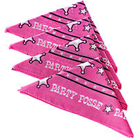 Bachelorette Party Posse 4 Neckerchief
