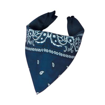 Bandana Blue