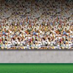 Decor Sports Scene Setter Lower Deck