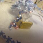 A Round Organza With Blue Bears