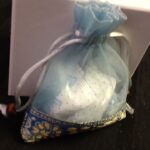 Favor Blue Orgenza Bag With Trim
