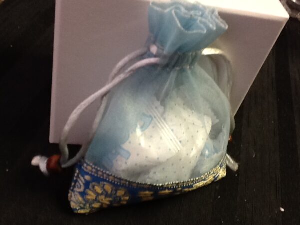 Favor Blue Orgenza Bag With Trim