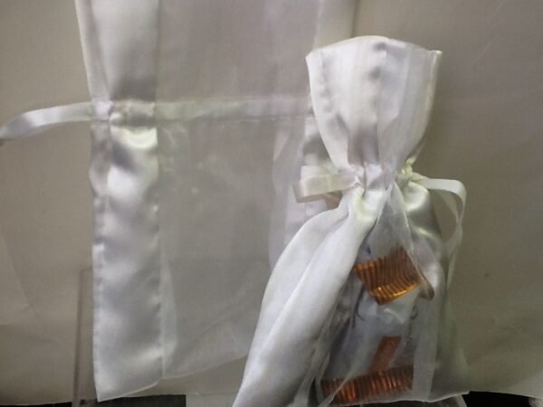 Favor Bag Satin and orgenza