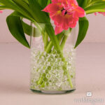 Decor Gel Water Beads Clear 37g