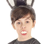 Donkey Ears and Teeth