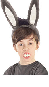 Donkey Ears and Teeth