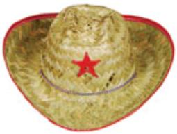 Barn Hats Kids