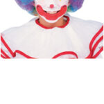 Clown Wig