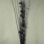 Decor Black Star Spray 24in