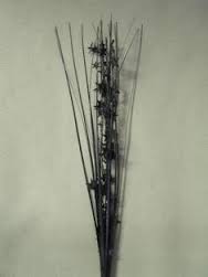 Decor Black Star Spray 24in