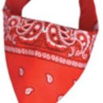 Bandana Red