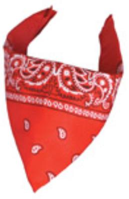 Bandana Red