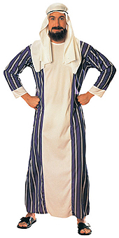 Sheik Costume