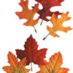 Thanksgiving Autumn Leaves