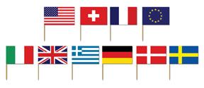A International Flags Picks 50 ct