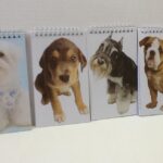 Dog Mini Notebooks