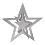 Decor Star 3-D Hanging 12 in