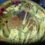 Flower Fruits 7in Paper Plates
