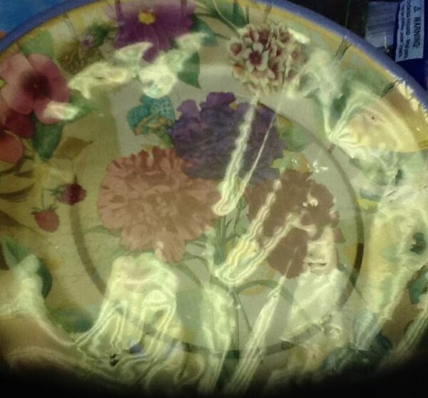Flower Fruits 7in Paper Plates