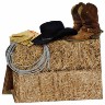 Centerpiece Western