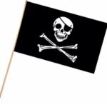 theme pirate flag plastic 11x17r50976