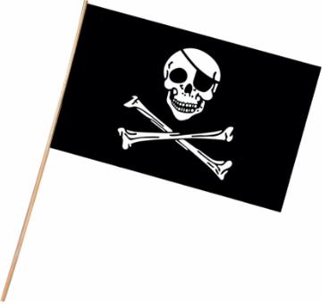 theme pirate flag plastic 11x17r50976