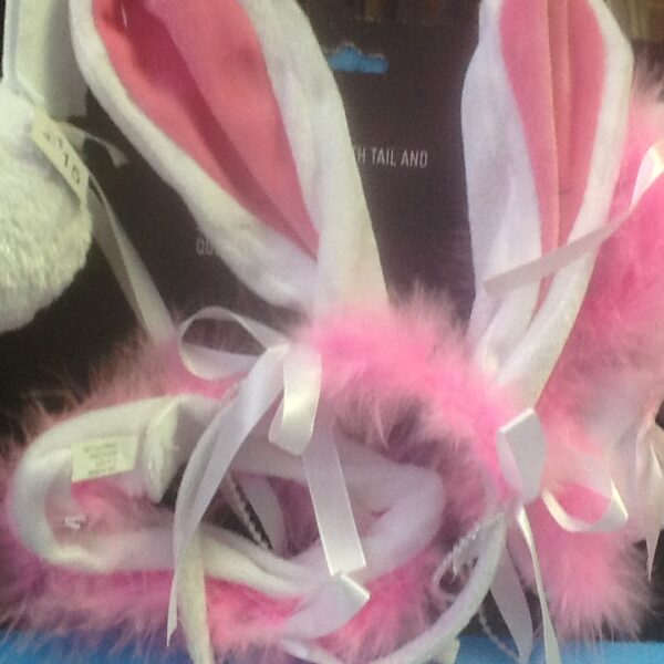 cos acc bunny set