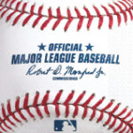 theme sports baseball bn rawllings 501097