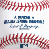theme sports baseball bn rawllings 501097