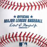 theme sports baseball bn rawllings 501097
