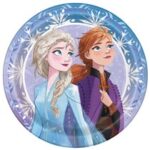 bday frozen 2 plates 9in unique