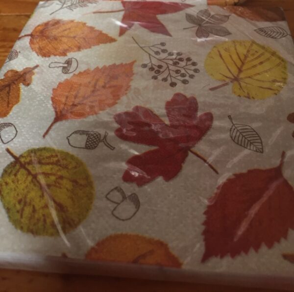 thanksgiv bn 328882 hap harv