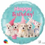 bal bday dogs 18 in w57620