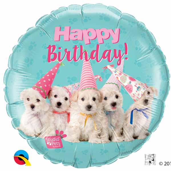bal bday dogs 18 in w57620